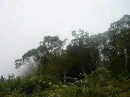 Visite de la petite cousine !